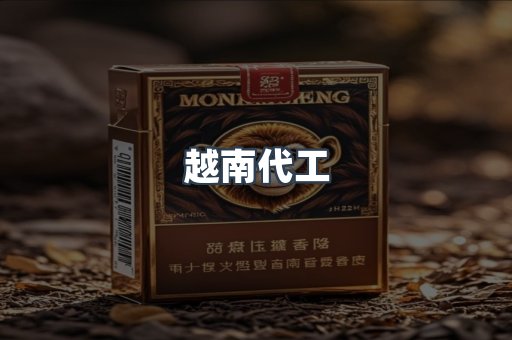 越南代工